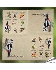 Stijlvolle servetten met vogelprint van Esschert Design ✔️ FSC-papier, 3-laags, biologisch afbreekbaar ✔️ Perfect voor elke tafelsetting ➤ Bestel nu op www.hoezo-kado.nl