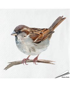 Servetten Huismus | 20 stuks | FSC & 3-laags | Hoezo-Kado