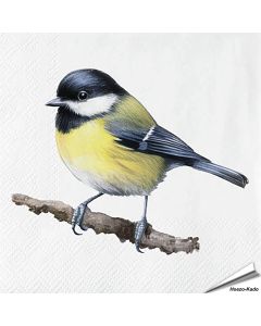 Servetten Koolmees| 20 stuks | FSC & 3-laags | Hoezo-Kado