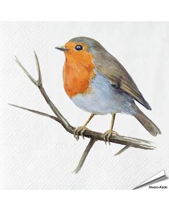 Servetten Roodborst | 20 stuks | FSC & 3-laags | Hoezo-Kado