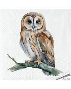 Servetten Bosuil | 20 stuks | FSC & 3-laags | Hoezo-Kado