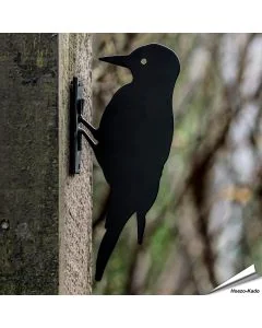 Silhouet - Specht