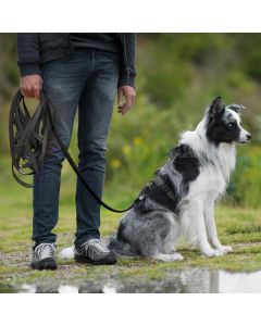 Zwarte sleeplijn voor honden | Sterk & weerbestendig | Hoezo-Kado