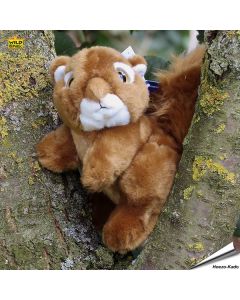 Pluche - Eekhoorn (Wild Watchers)