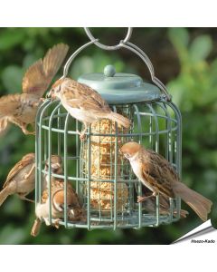 Stijlvolle vetblokhouder met beschermkooi in zeegroen ✔️ Ideaal voor kleine tuinvogels ✔️ Weerbestendig & eenvoudig te reinigen ➤ Nu kopen bij Hoezo-Kado!