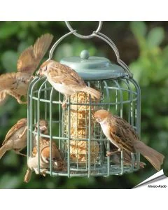 Stijlvolle vetblokhouder met beschermkooi in zeegroen ✔️ Ideaal voor kleine tuinvogels ✔️ Weerbestendig & eenvoudig te reinigen ➤ Nu kopen bij Hoezo-Kado!