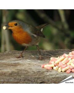 Traktatie-Mix - Insecten & bessen