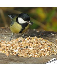 Premium Wilde Vogelzaad-Mix van Aniculis