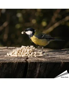 Energiebommetjes vol vet voor wilde vogels ✔️ Ideaal voor het hele jaar door voeren ✔️ Smakelijke vet pellets voor merels ➤ Koop in de Hoezo-Kado Shop