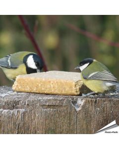 VEGAN vetblok voor tuinvogels van Aniculis ✔️ Vol plantaardige kracht - Met pinda's ✔️ Zonder dierlijke vetten of palmolie ➤ Bestel nu vogelvoer op www.hoezo-kado.nl