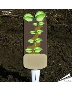 Veggie Stick - Algemeen