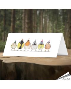 Verjaardagskaart met leuke tuinvogels - Voor natuurliefhebbers - www.hoezo-kado.nl