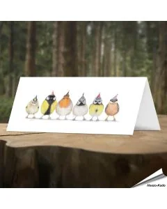 Verjaardagskaart met leuke tuinvogels - Voor natuurliefhebbers - www.hoezo-kado.nl