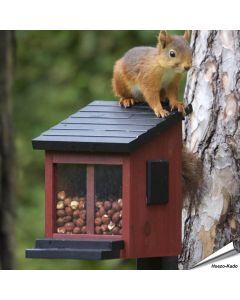 Ekorrmatare rood van Wildlife Garden. Houten eekhoornvoederhuisje voor noten, zaden en speciaal eekhoornvoer, met zichtbaar voerreservoir en klepdeksel.
