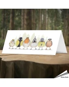 Vrolijke wenskaart met kleurrijke tuinvogels ✔️ FSC gecertificeerd papier ✔️ Kraft enveloppe inbegrepen ✔️ Bestel nu op www.hoezo-kado.nl