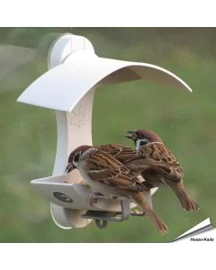 Raamvoederhuis voor wilde vogels - Geliefd bij mussen - www.hoezo-kado.nl
