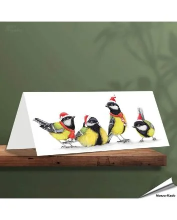 Kerstkaart met leuke koolmezen - Voor natuurliefhebbers - www.hoezo-kado.nl
