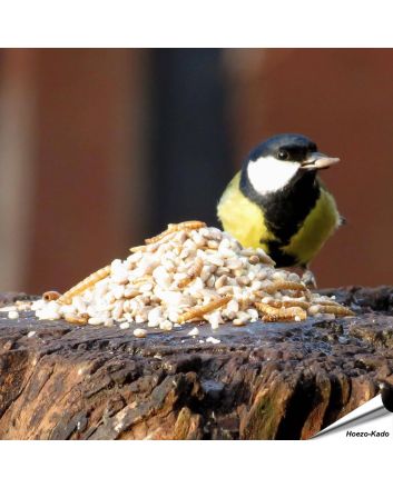 Speciaal voor kleine vogelsoorten - Hi-Protein