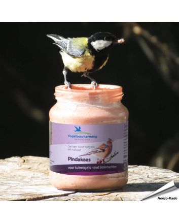 Pindakaas voor tuinvogels - Met bosvruchten (300ml)