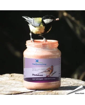 Pindakaas voor tuinvogels - Met bosvruchten (300ml)
