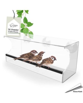Koppel Ringmussen genieten van de vogelvoederbak aan het raam