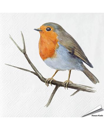 Servetten Roodborst | 20 stuks | FSC & 3-laags | Hoezo-Kado