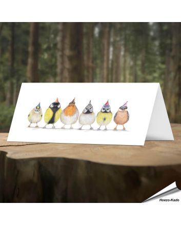 Verjaardagskaart met leuke tuinvogels - Voor natuurliefhebbers - www.hoezo-kado.nl