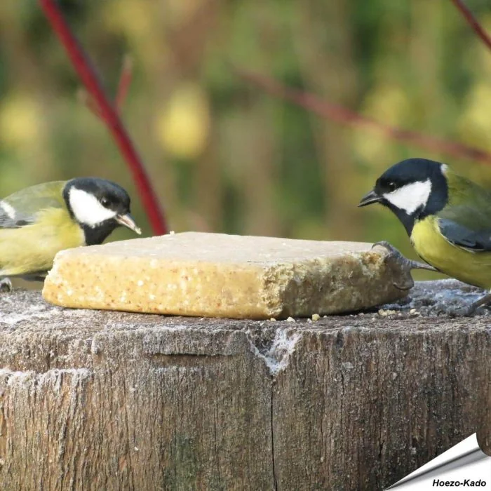 Aniculis - MultiPack - Vegan Vetblok met Pinda's (10 x 300g)