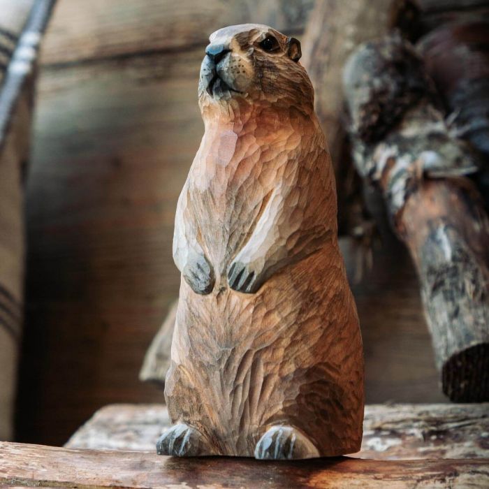 Houten alpenmarmot van Wildlife Garden – een prachtige decoratie waar het hele gezin van zal genieten! ✔️ Natuurgetrouw vormgegeven en realistisch gekleurd ➤ Bestel nu eenvoudig online bij Hoezo-Kado
