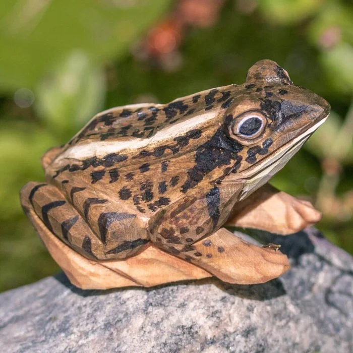 Houten DecoAnimal Heikikker van Wildlife Garden met bruin gevlekte rug, donkere tekening en grote ogen, zittend op een steen tussen groen.