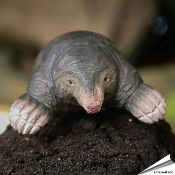DecoAnimal Mol van Wildlife Garden, handgesneden houten dierenbeeld met natuurgetrouwe vormgeving, brede graafpoten en langgerekte snuit.