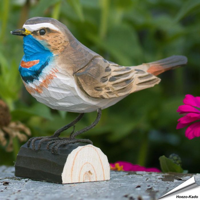 Houtgesneden vogel in de vorm van een Blauwborst is een mooie decoratie waar het hele gezin dol op zal zijn ✔️ Levensecht vorm- en kleur gegeven model ➤ Koop nu online bij Hoezo-Kado