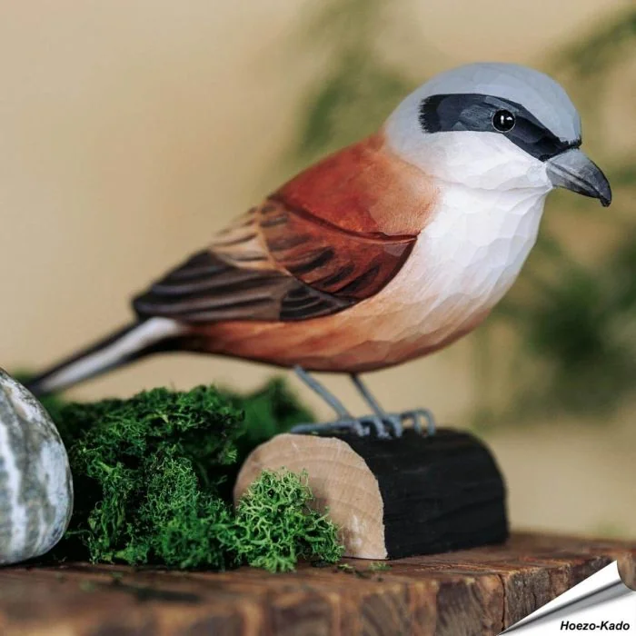 Houtgesneden vogel in de vorm van een Grauwe klauwier is een mooie decoratie waar het hele gezin dol op zal zijn ✔️ Levensecht vorm- en kleur gegeven model ➤ Koop nu online bij Hoezo-Kado