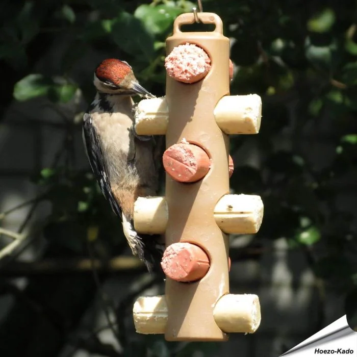 Houder voor 6 energierollen - Voederplek voor wilde vogels - Hoezo-Kado