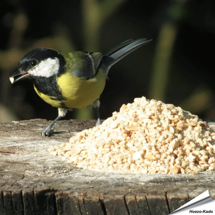 Fijngehakte Premium pinda's (5 kg)