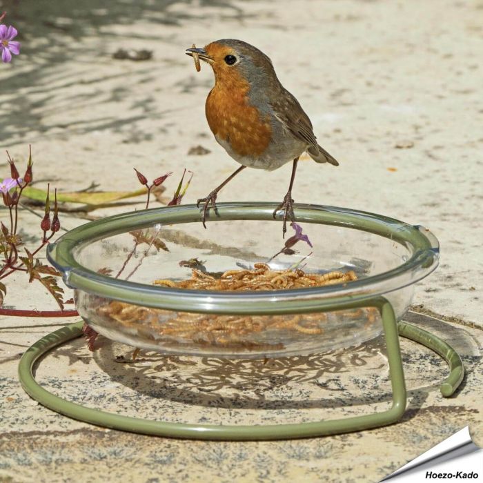 Voedertafel I Love Robins voor vogels ✔️ Stevig en duurzaam materiaal ✔️ Gemakkelijk te onderhouden ✔️ Ideaal voor kleine tuinvogels ➤ Bestel op www.hoezo-kado.nl