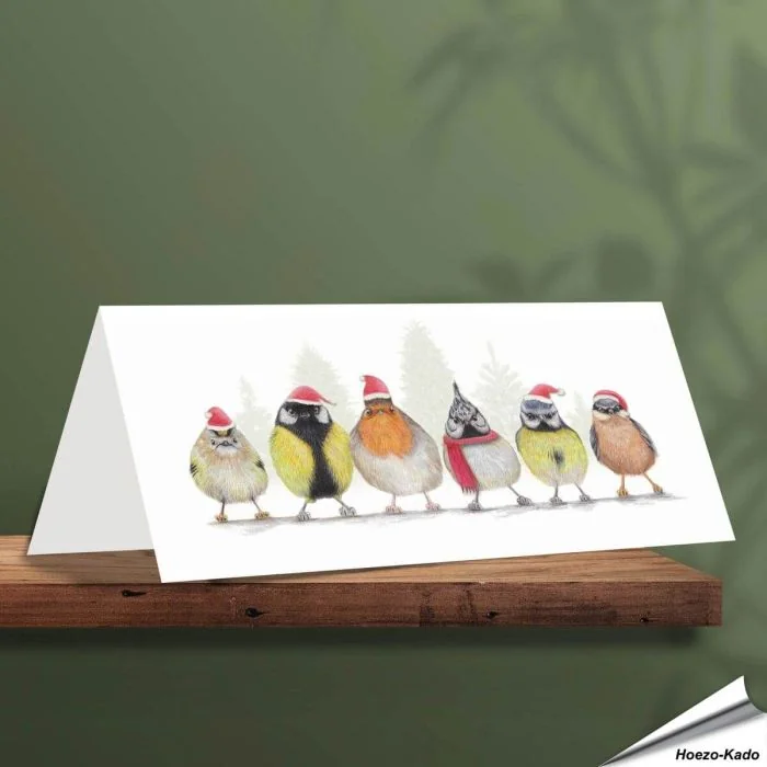 Kerstkaart met leuke teuinvogels - Voor natuurliefhebbers - www.hoezo-kado.nl