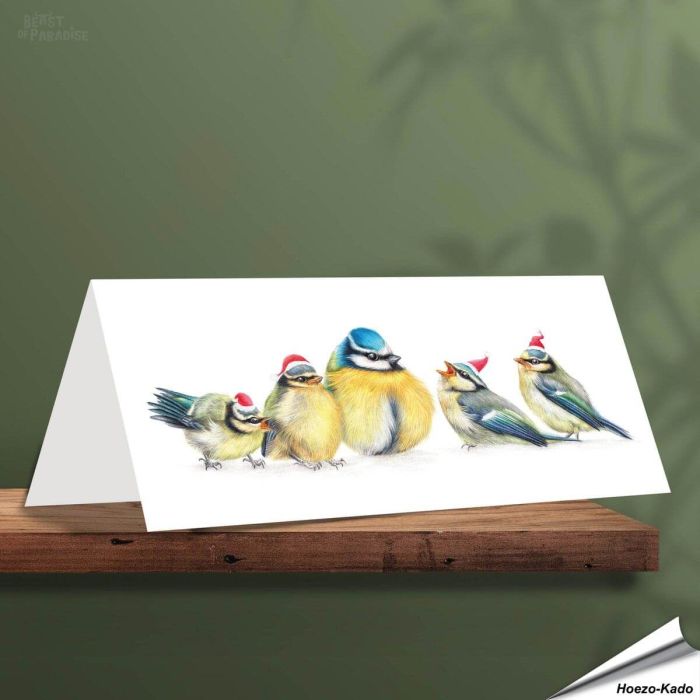 Kerstkaart met leuke pimpelmezen - Voor natuurliefhebbers - www.hoezo-kado.nl
