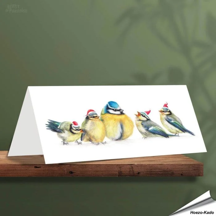 Kerstkaart met leuke pimpelmezen - Voor natuurliefhebbers - www.hoezo-kado.nl