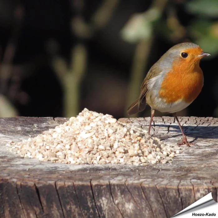 Hoogwaardig wildvogelvoer speciaal voor kleine vogelsoorten ✔️ Met zonnebloemkernen en gehakte pinda’s ✔️ Het hele jaar door voeren ➤ Bestel nu op www.hoezo-kado.nl