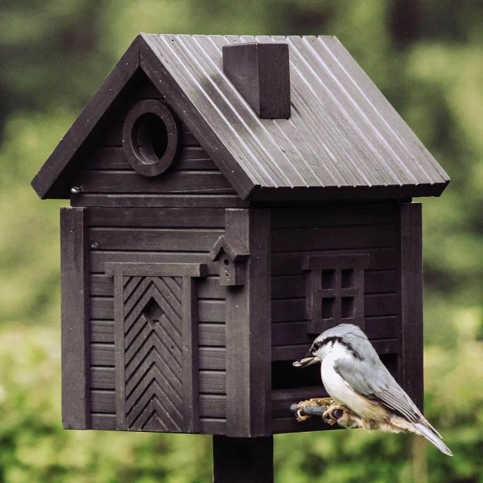 Multiholk Carbon Black van Wildlife Garden ✔️ Nestkast en voederhuis in 1 ✔️ Voor kleine tuinvogels ✔️ Geïnspireerd op Scandinavische architectuur ➤ Hoezo-Kado
