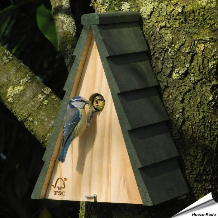 Nestkast Aspen 28mm ✔️ Aanbevolen door Vogelbescherming NL ✔️ Geschikt voor pimpelmees, kuifmees, glanskop en zwarte mees ✔️ FSC-hout ➤ Bestel bij Hoezo-Kado!