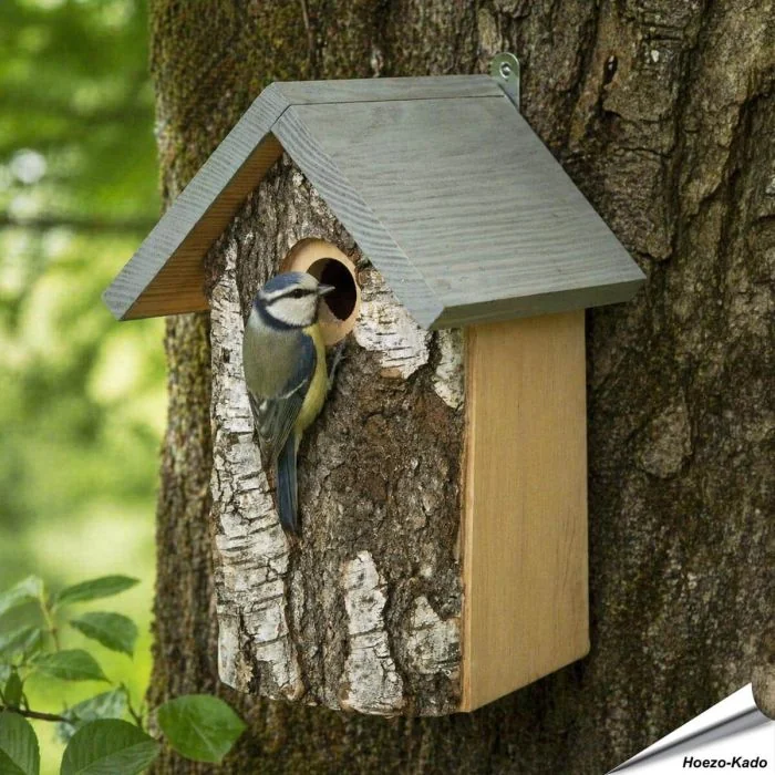 Berken nestkast met natuurlijke uitstraling ✔️ Bootst een natuurlijke boomholte na ✔️ Ideaal voor tuinvogels zoals de pimpelmees ➤ Ontdek meer bij Hoezo-Kado