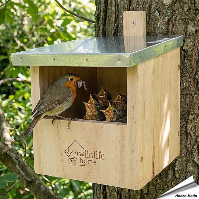 Nestkast voor roodborstjes: help deze vogels een nestje te bouwen!