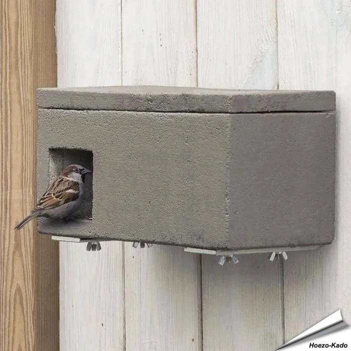 Mussenloft nestkast voor huismussen ✔️ Nestkamer en terras, houtbeton en extra bescherming tegen roofdieren ✔️ Gevelmontage ➤ Hoezo-Kado