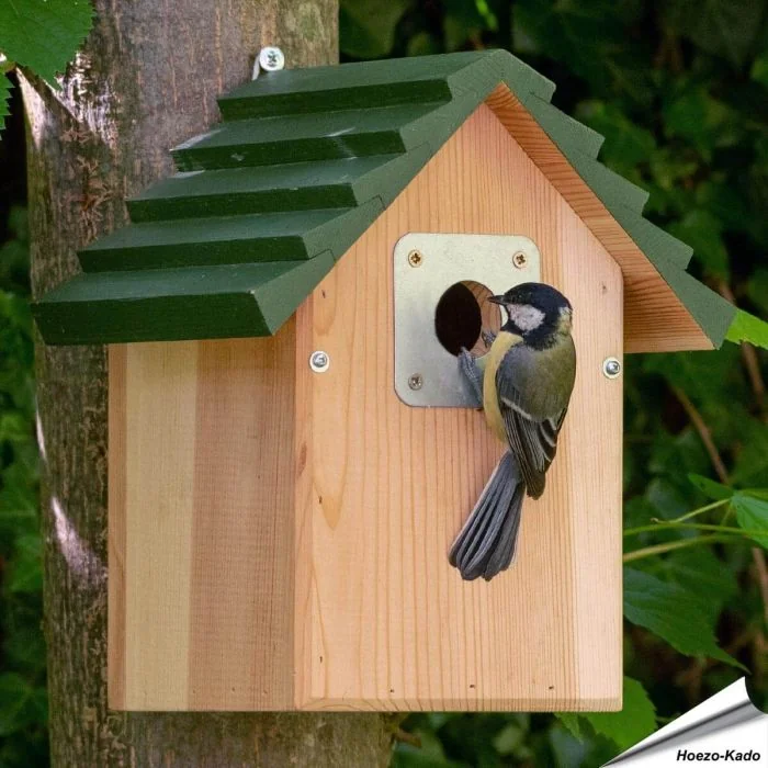 Nestkast Vail met 32 mm opening ✔️ Voor mezen, boomklevers en bonte vliegenvangers ✔️ Steun Vogelbescherming met je aankoop ➤ Hoezo-Kado