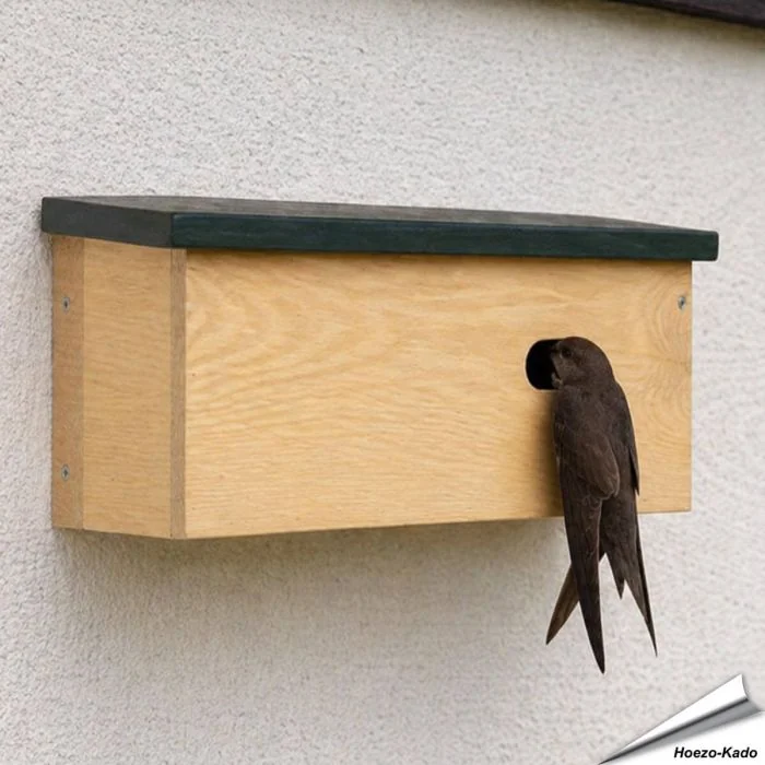 Speciale nestkast voor de gierzwaluw ✔️ Ovale invliegopening (60 x 30 mm) ✔️ FSC-gecertificeerd hout ✔️ Eenvoudig te plaatsen en reinigen ✔️ Koop bij Hoezo-Kado