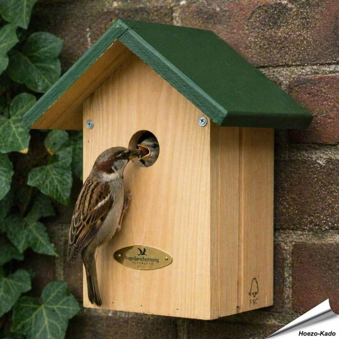 Nestkast huismus "Week van de Nestkast" ✔️ Aanbevolen door Vogelbescherming NL en SOVON ✔️ FSC-gecertificeerd hout ✔️ Mooie geschenkdoos ✔️ Koop bij Hoezo-Kado