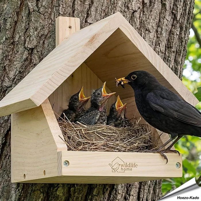 Nestkast voor merels ✔️ Onbehandeld massief hout ✔️ Geschikt voor halfholenbroeders✔️ Weerbestendig ➤ Koop nu bij Hoezo-Kado.nl