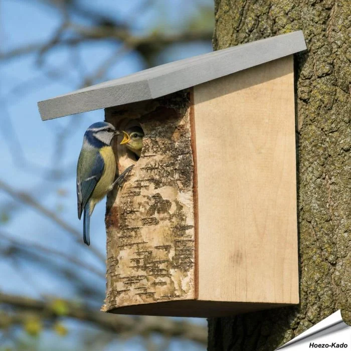 Berken nestkast met natuurlijke uitstraling ✔️ Bootst een natuurlijke boomholte na ✔️ Ideaal voor tuinvogels zoals de koolmees ➤ Ontdek meer bij Hoezo-Kado